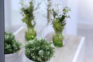 drei grüne Vasen mit Blumen auf dem Tisch in der Unterkunft Piso Plaza Mercado 2,3 in Salamanca