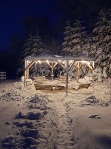 'Virš Ąžuolų'-Forest SPA -Holiday Home през зимата