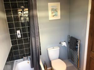 a bathroom with a toilet and a shower at Moss Cottage in Willaston +22 photos