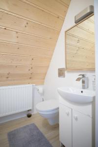 een badkamer met een wit toilet en een wastafel bij Admi Zakopane in Zakopane