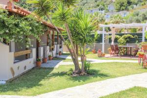 Zahrada ubytování Villa Amy