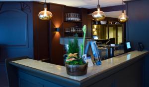 a bar with a potted plant sitting on a counter at Rjukan hotell in Rjukan