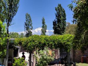 a house with a hedge and a mountain in the background at Casa en chacras de Coria in Ciudad Lujan de Cuyo