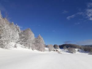 um campo coberto de neve com árvores ao fundo em Gîte des 3 Marches em Lamoura