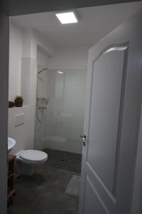 y baño con aseo y ducha acristalada. en 2nd Home Appartements 23, en Nieder-Olm