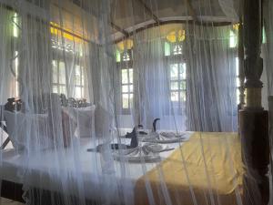 Foto Unawatunas asuva majutusasutuse Flamingo Guest house galeriist