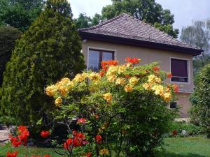 Zahrada ubytování Holiday Home 5- chemin de la Pralay by Interhome
