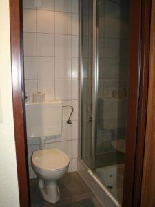 Un baño con inodoro y ducha en Apartment Kaufmann by Interhome, en Tobadill 15 fotos más