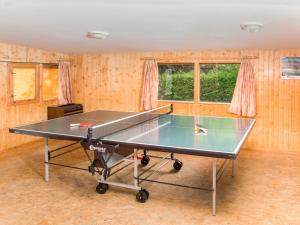 mesa de ping pong en una habitación con paredes de madera en Holiday Home Jirka - DEH120 by Interhome, en Žabovřesky