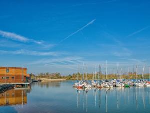 a bunch of boats are docked in a harbor at Holiday Home Hafenhaus by Interhome in Großpösna