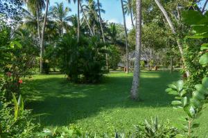 Zahrada ubytování Eva Lanka Hotel - Beach & Wellness