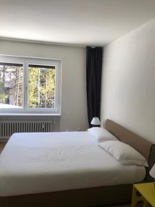a bedroom with a large white bed with a window at Sankt Moritz Dorf Charme Apartment in St. Moritz