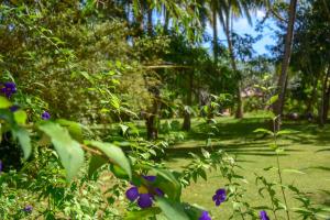 Zahrada ubytování Eva Lanka Hotel - Beach & Wellness