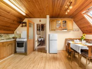 Kuchyň nebo kuchyňský kout v ubytování Holiday Home Horní Věstonice by Interhome