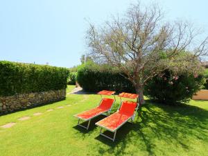 4 Stühle sitzen im Gras neben einem Baum in der Unterkunft Holiday Home Rei Sole - REI301 by Interhome in Costa Rei