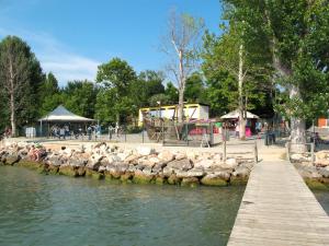 un groupe de moutons debout à côté d'une masse d'eau dans l'établissement Holiday Home Cisano & San Vito-2 by Interhome, à Lazise