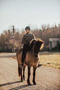 Horseback riding at Az apartmant or nearby