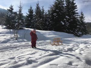 Ferienwohnung Jagdhäusl im Winter