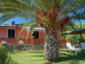 A garden outside Apartment Villa Franca-2 by Interhome