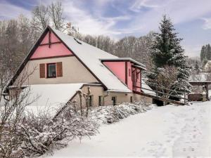 Studio Chlívce u Hronova-1 by Interhome v zime