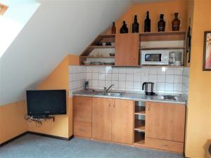 een keuken met een wastafel en een magnetron bij Studio Chlívce u Hronova-2 by Interhome in Chlívce