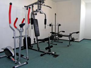 Fitness centrum a/nebo fitness zařízení v ubytování Apartment Melandura-10 by Interhome
