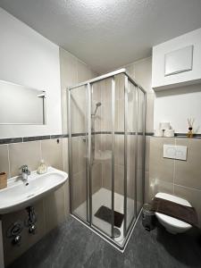 a bathroom with a shower and a toilet and a sink at Fanky Guided Sport & Outdoor Experience - Hostel & Appartementhaus - Rafting&Canyoning in Haiming +82 photos