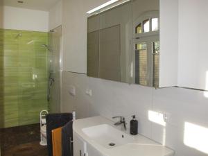 a bathroom with a sink and a shower and a mirror at Apartment Altherscher Hof-2 by Interhome in Zarrentin