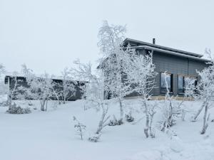 サーリセルカにあるHoliday Home Villa viima by Interhomeの雪に覆われた木々が目の前に広がる家