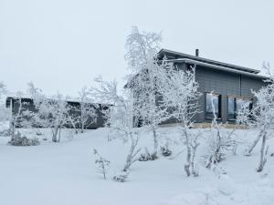 Holiday Home Villa viima by Interhome v zimě