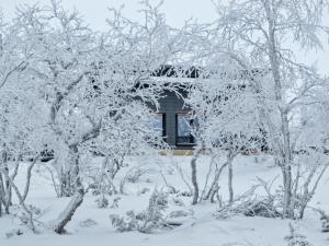 a house covered in snow in front of trees at Holiday Home Villa viima by Interhome in Saariselka