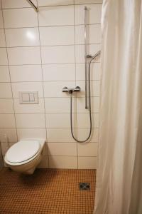 a bathroom with a toilet and a shower at Apartment B&B am Berntor by Interhome in Thun