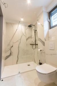 a bathroom with a shower and a toilet at Villa Braga a12 in Baška Voda