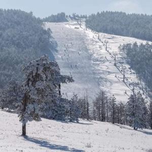 TRI BORA DIVČIGORA en invierno