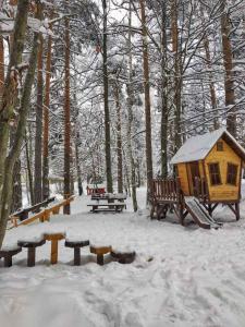 TRI BORA DIVČIGORA en invierno