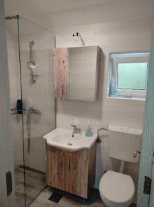 a bathroom with a sink and a toilet and a shower at Vila Lake Krupac in Nikšić