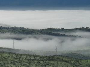 Príroda v okolí hotela