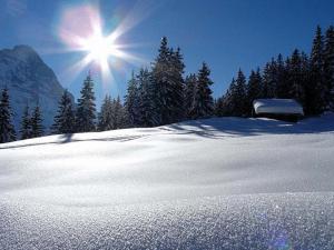 冬天的Hotel Steinbock Grindelwald