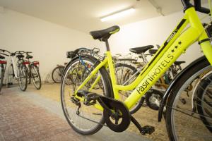 Jazda na bicykli v okolí ubytovania Hotel Stacchini