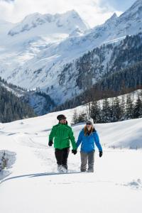 Apart Platzer v zime