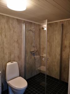 y baño con aseo y ducha. en Henningsvær Guesthouse, en Henningsvaer