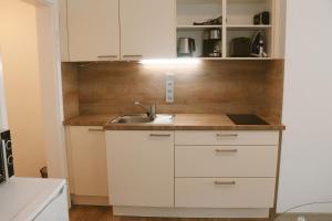 ครัวหรือมุมครัวของ Helles Apartment für 1-2 Pers. mit Parkplatz und WiFi +17 ภาพ