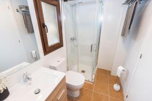 a bathroom with a shower and a toilet and a sink at Apartamentos rurales El Torneru in Piloña
