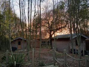 ogrodzenie przed domem w lesie w obiekcie Riddings Wood lodges w mieście Alfreton