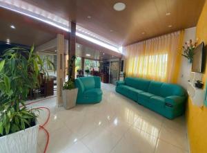 ein Wohnzimmer mit blauen Sofas und Pflanzen in der Unterkunft Hostel Gratidão in Itanhaém