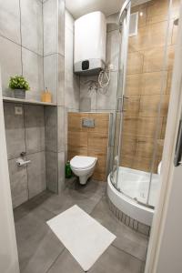 a bathroom with a toilet and a shower and a sink at Apartament Estakada 2 in Częstochowa