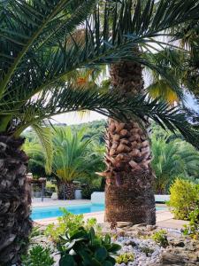 Gallery image of Le Jas des Oliviers 3 étoiles in Le Castellet