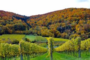 Paesaggio naturale nelle vicinanze dell'appartamento