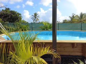 a swimming pool seen through a window with plants at BUNGALOW DE SAINT JACQUES in Saint-François