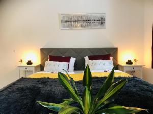 una camera con un letto e una pianta in primo piano di Apartment Mona´s Home a Sankt Pankraz